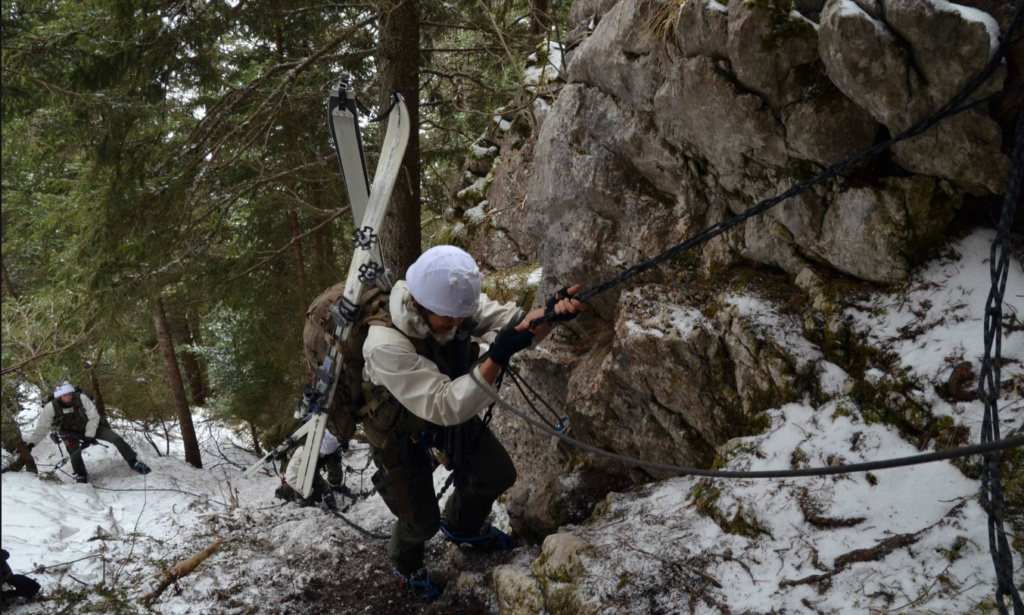 Qu'est-ce qui caractérise les troupes de montagne ? Tm510