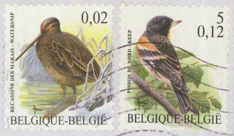 Belgien : Vogel vom BUZIN 10_80011