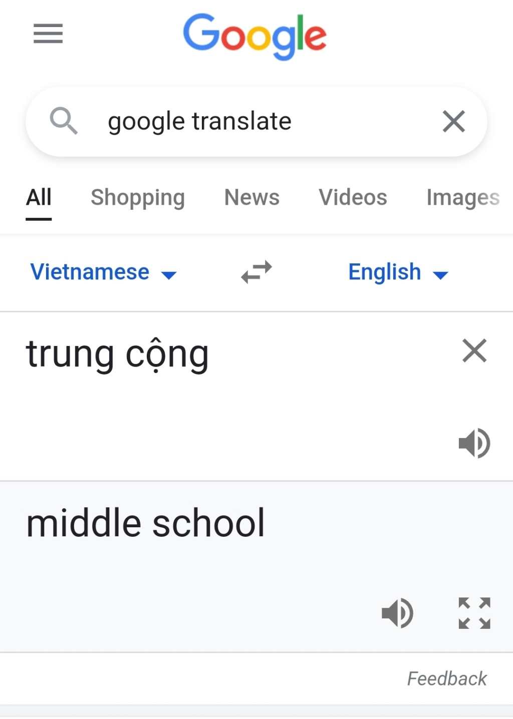 Google Translate  Screen23