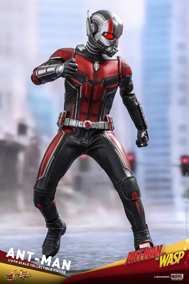  [Hot Toys] - Ant-Man and the Wasp- Ant-Man 1/6 36360311