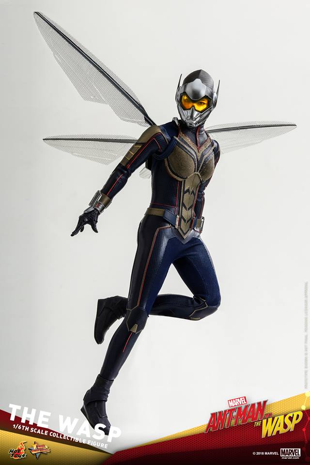  [Hot Toys] - Ant-Man and the Wasp- Wasp 1/6 36375511