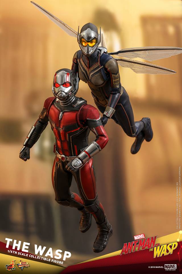  [Hot Toys] - Ant-Man and the Wasp- Wasp 1/6 36379711