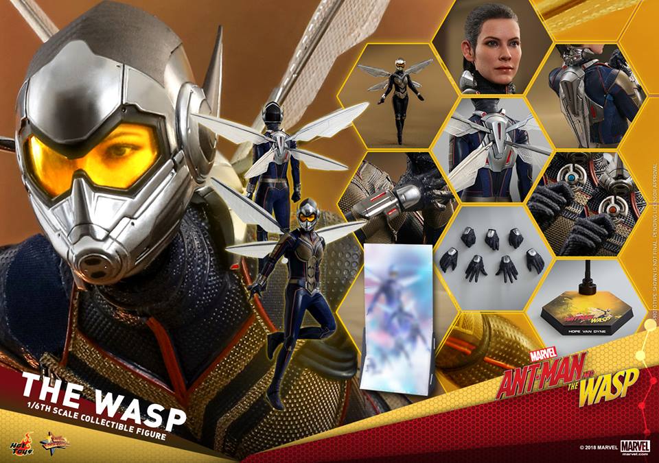  [Hot Toys] - Ant-Man and the Wasp- Wasp 1/6 36396811