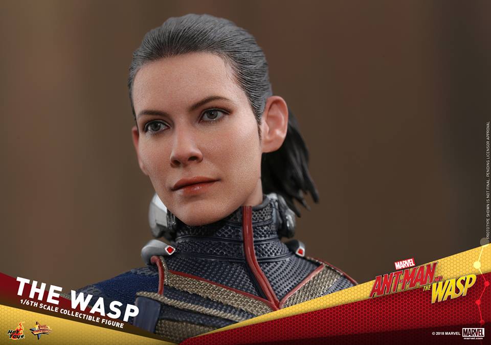  [Hot Toys] - Ant-Man and the Wasp- Wasp 1/6 36418710