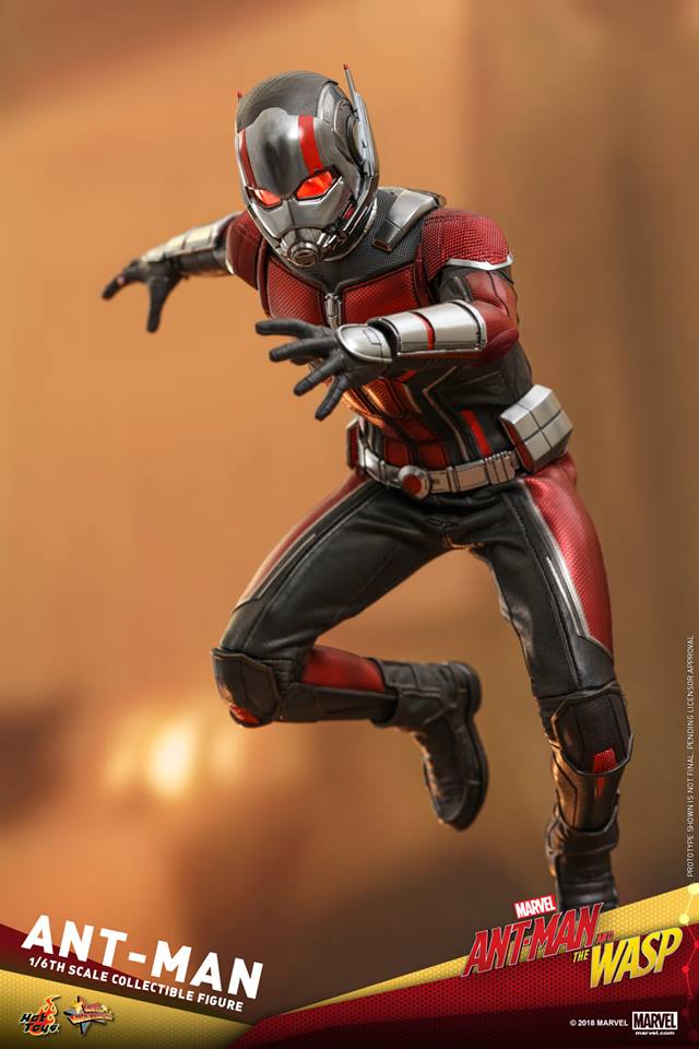  [Hot Toys] - Ant-Man and the Wasp- Ant-Man 1/6 36470610