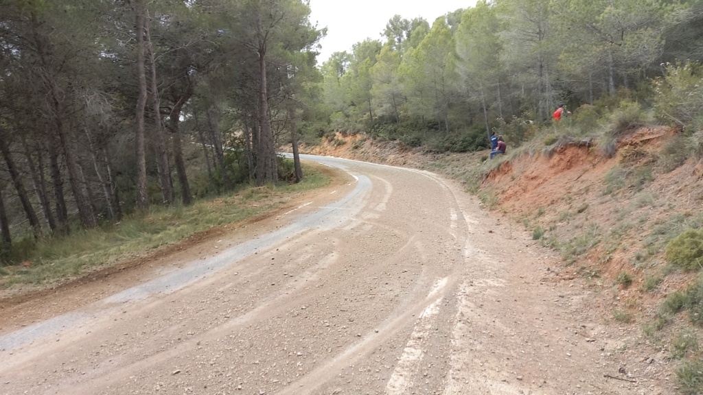 WRC: 56º RallyRACC Catalunya Costa Daurada - Rally de España [14-17 Octubre] - Página 4 20211016