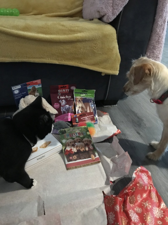 Ronde de Noël 2019 / ouverture des cadeaux - Page 2 9e90d410