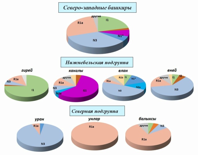 Генетика русских и украинцев: интересные факты Scale_74