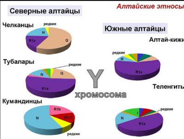 Генетика русских и украинцев: интересные факты Scre1506