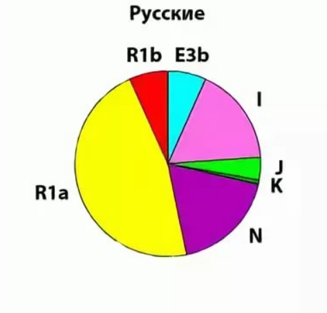 Генетика русских и украинцев: интересные факты Scre2243