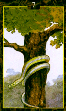 7 Змея Scre5785