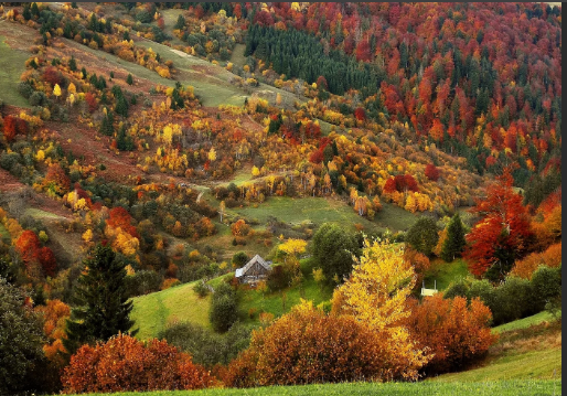 Осень в Трансильвании Scree746