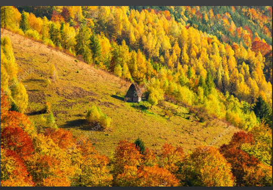 Осень в Трансильвании Scree753
