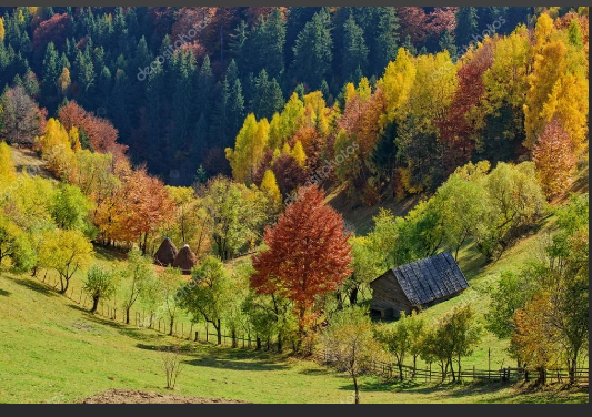 Осень в Трансильвании Scree754