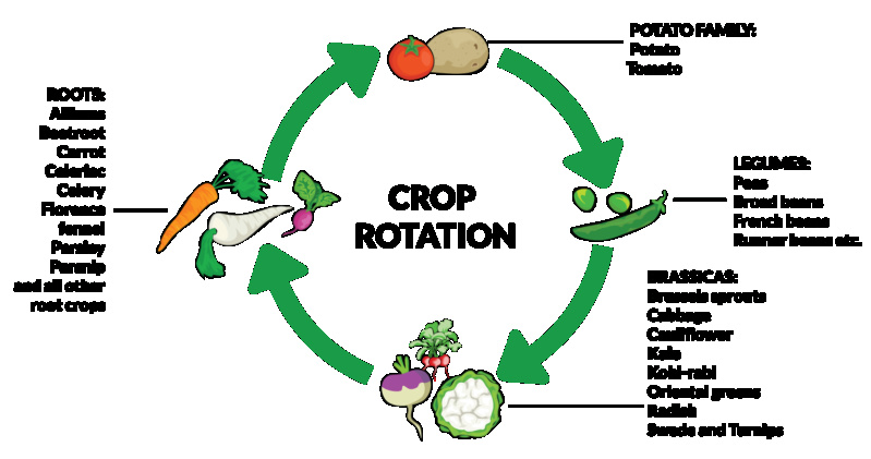 L'agriculture biologique estelle la plus adéquate face aux obstacles