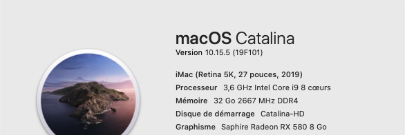 Mise a jour de supplémentaire macOS Catalian 10.15.5 (19F101) 19f10110