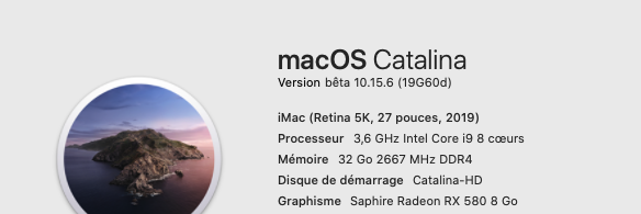 macOS Catalina 10.15 Developper Beta - Page 8 19g60d10