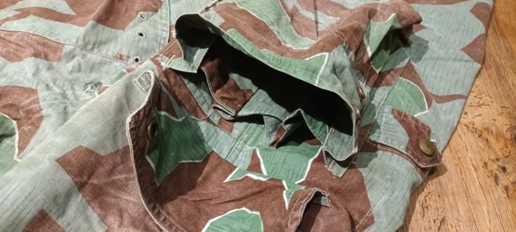 Pantalon camouflage éclat allemand ??? 1_711