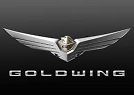 Alarme Goldwing dct 2021 Images14