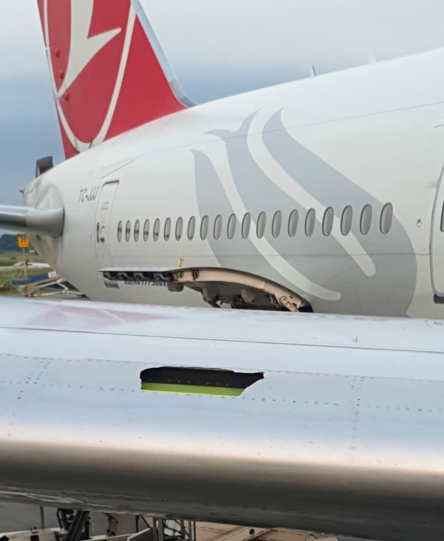 Turkish Airlines impacta aves  Img_2071