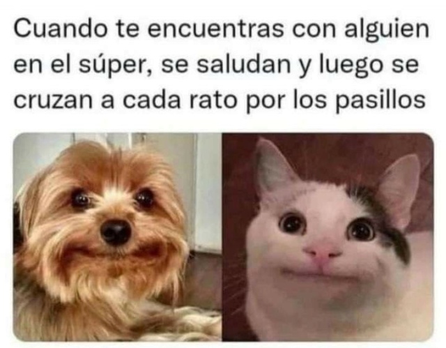 Memes de animalitos  3 28bcb410