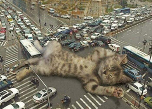 Cómo sería la vida si fuéramos invadidos por gatos gigantes  Scree484