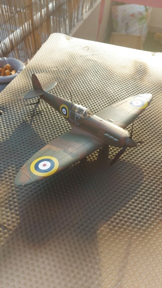 Spitfire Mk 1 early Eduard 1/48  Img-2017