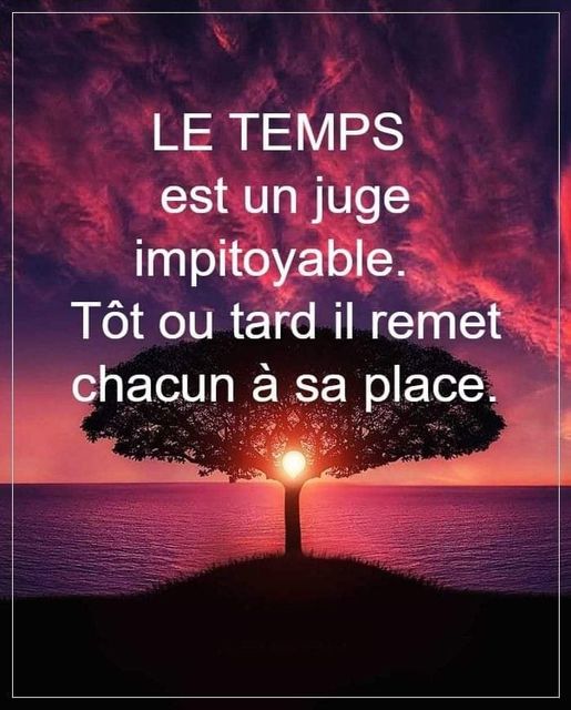 Une phrase par jour  - Page 10 33593810