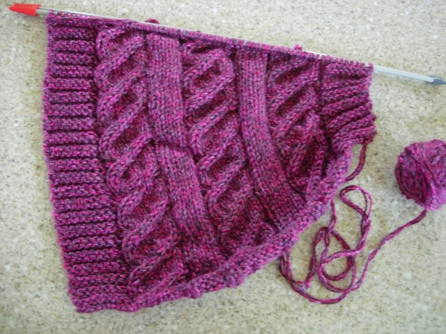 nouvel encours tricot : une tunique et des mitaines assorties - Page 4 Dscn2621