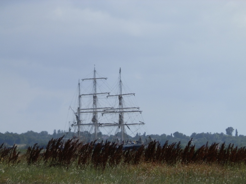 Mise à l'eau de l'Hermione Belem_23