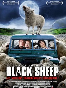 Black sheep 18906610