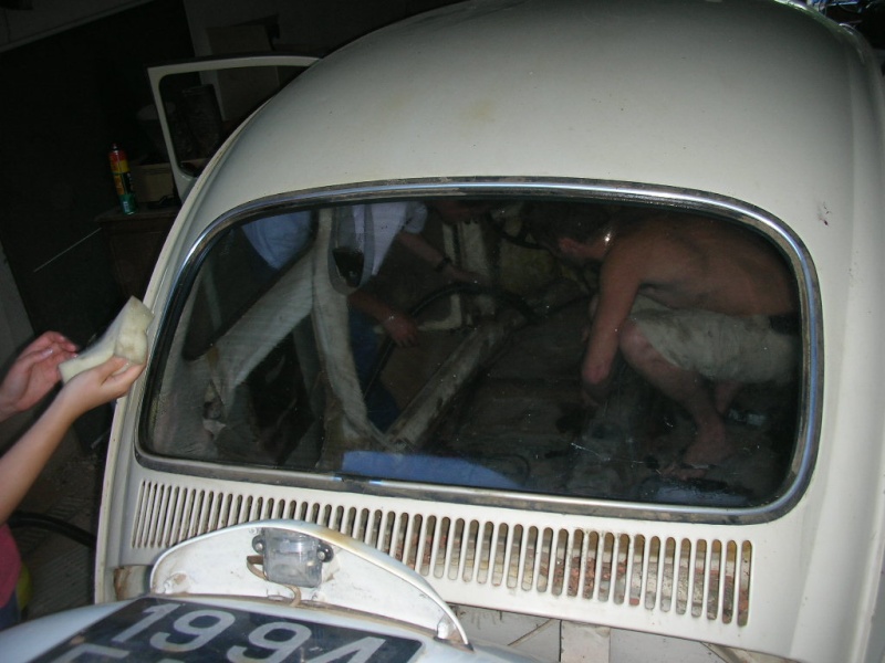 Rusty Herbie Dscn4424