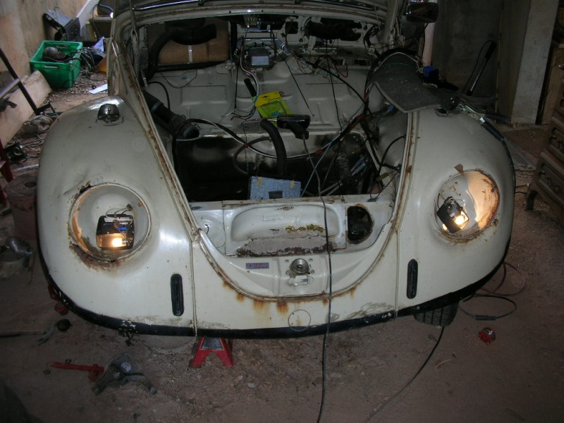 Rusty Herbie Dscn4510