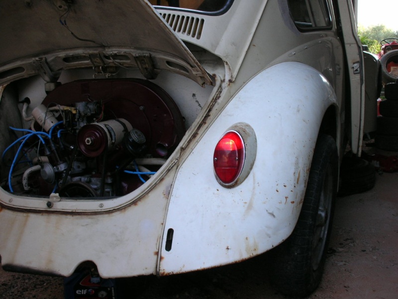 Rusty Herbie Dscn4512