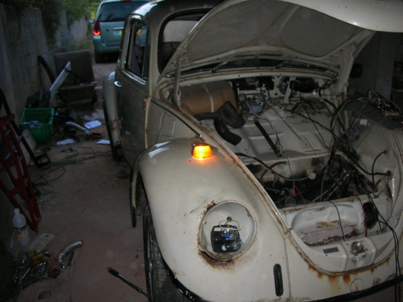 Rusty Herbie Dscn4513