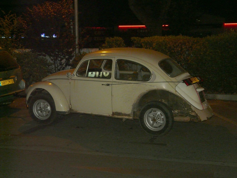Rusty Herbie P1020823