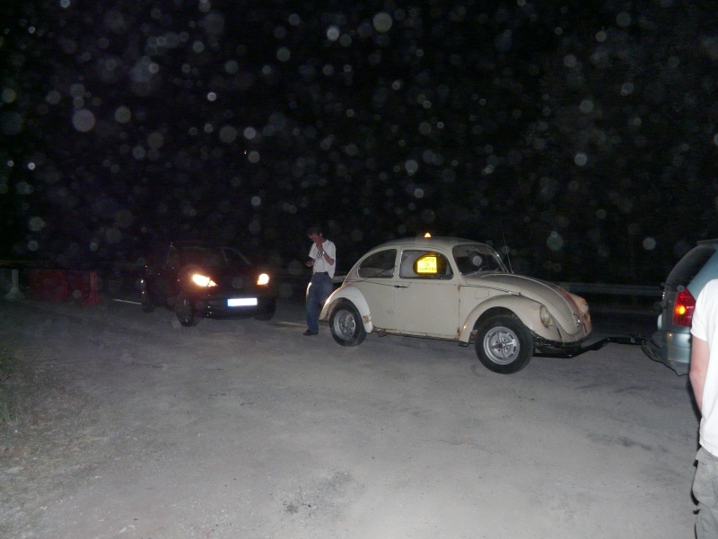 Rusty Herbie P1020824