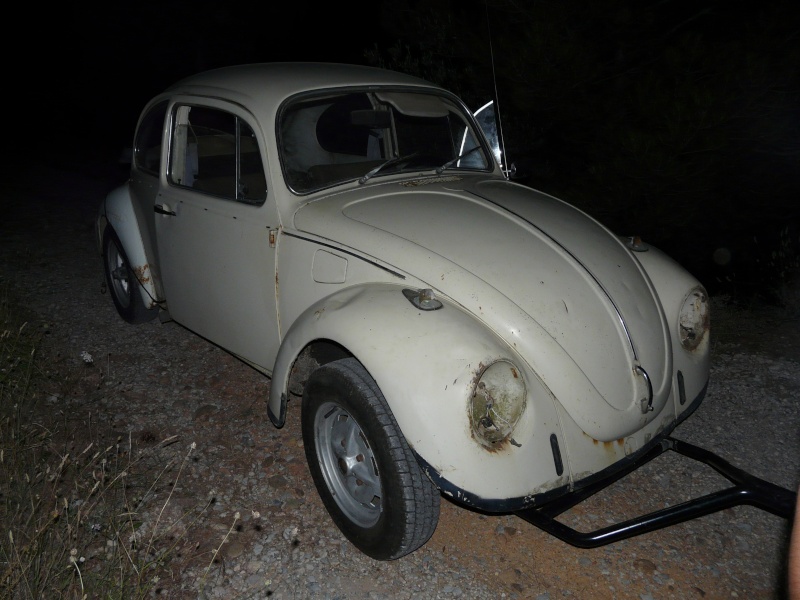Rusty Herbie P1020827
