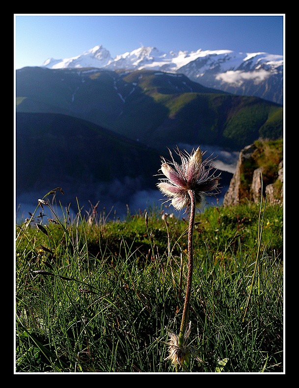 Les Ecrins le 14/06/2008 P1360912