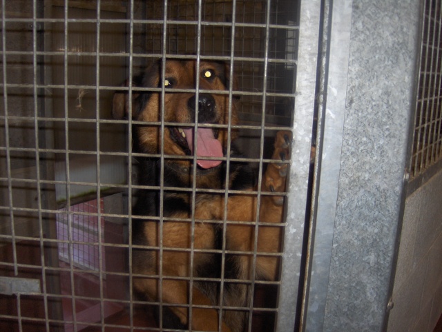 Louna, xberger/rott spa Verviers Urgent! Loona10