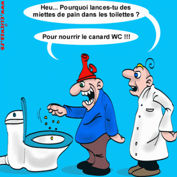 au toilette Canard10