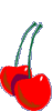 La cerise Cerise15