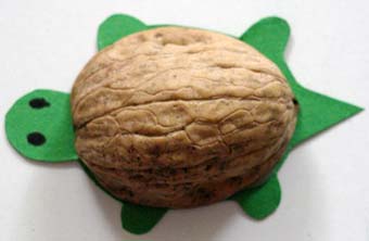 fabriquer une tortue en coquille de noix Tortue10
