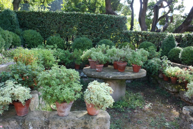 Le Chateau du Vignal, à Contes, Alpes Maritimes Collec10