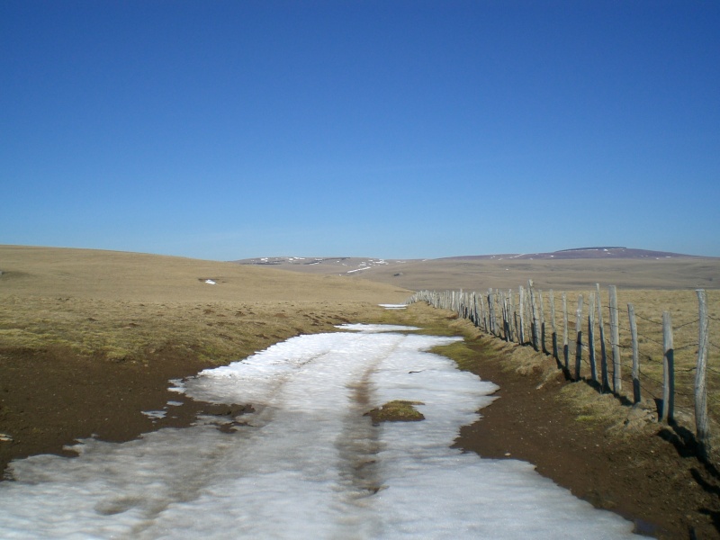 Postez ici vos plus belles photos prises dans le Cézallier Cimg1640