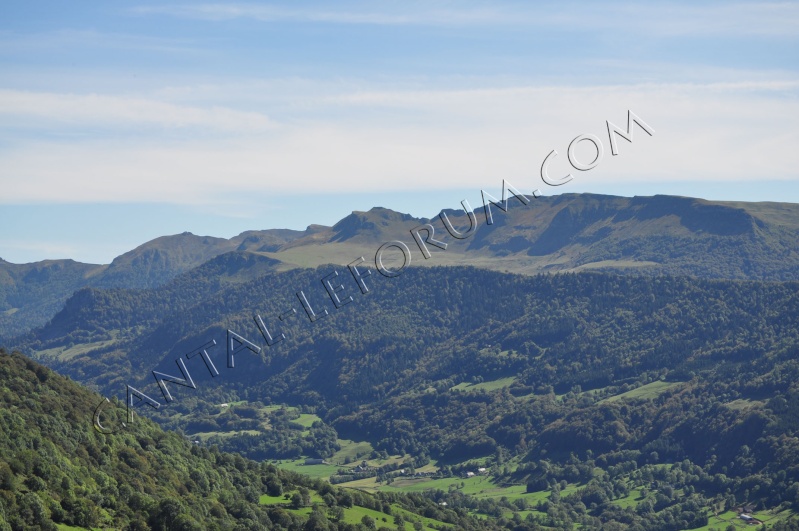 A quelques pas du Col d'Aulac... Dsc_7011