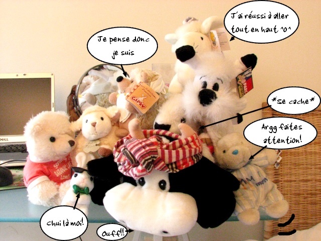 Concours nainains et peluches. Peluch10