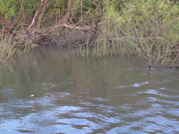 Une bouée sur la Saône Peche_33