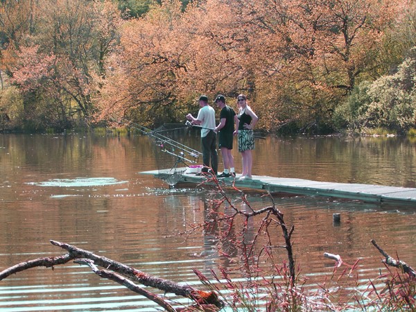 Pêche du silure en plan d'eau privé Peche_47