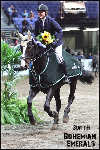 " BOHEMIAN EMERALD DES EVENES Bohemi10